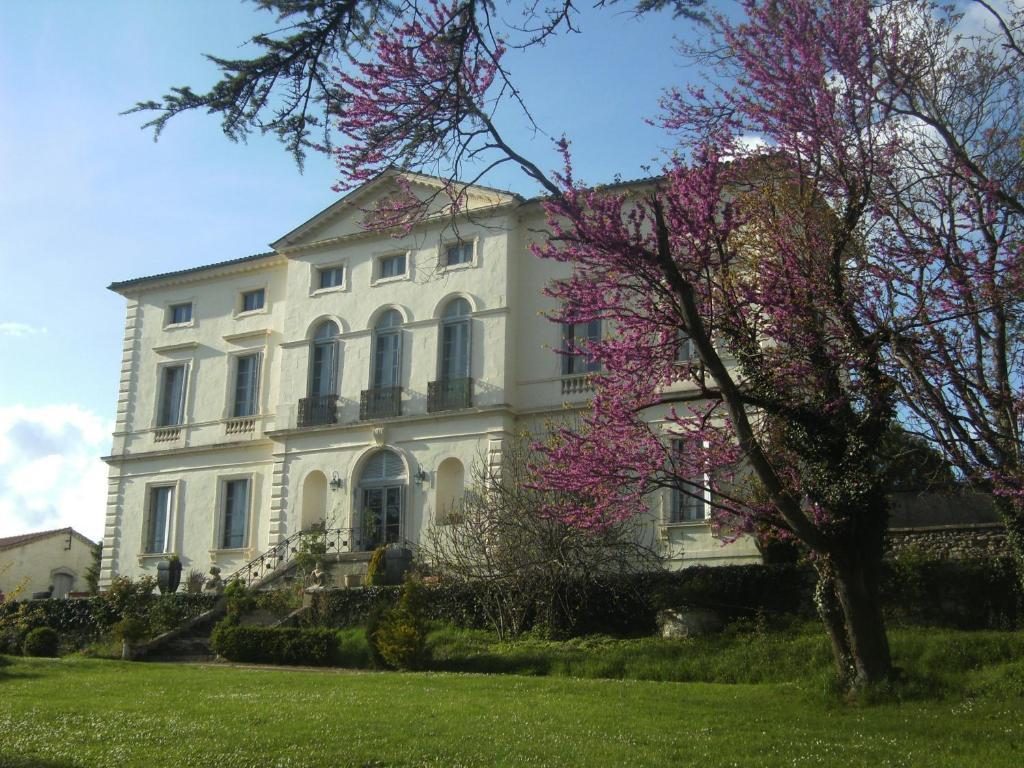 Chambres D'Hotes Du Chateau De Saint Sulpice La Sauvetat-sur-Lède Exterior foto