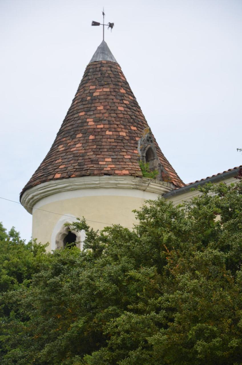 Chambres D'Hotes Du Chateau De Saint Sulpice La Sauvetat-sur-Lède Exterior foto
